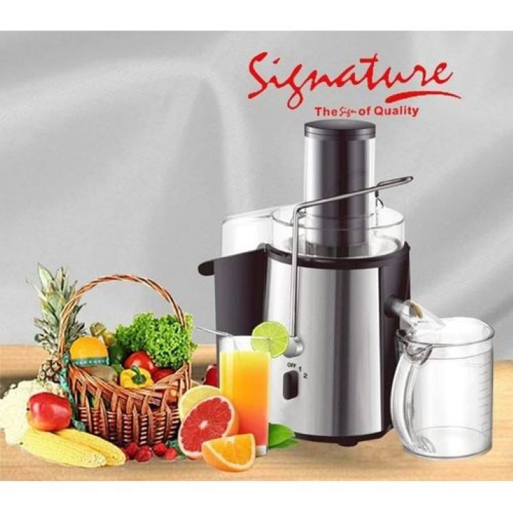 signature-powerful-commercial-electric-juicer-juice-extractor